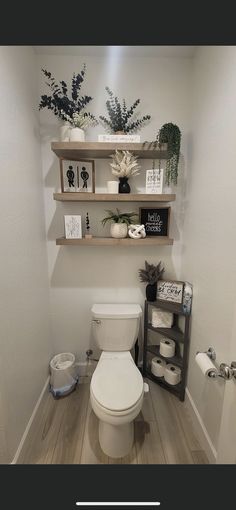 a white toilet sitting inside of a bathroom next to a wooden shelf filled with plants