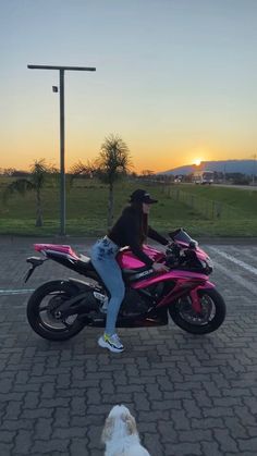 a person on a pink motorcycle with a dog