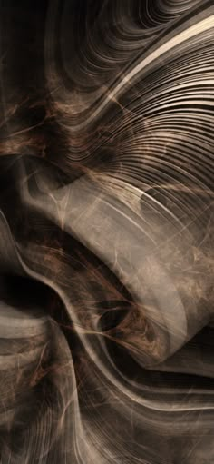 an abstract photo with wavy lines and swirls in brown, black and white colors