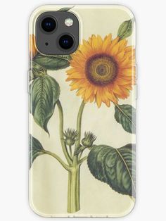 Sunflower Vintage Botanical Illustration - Old Style Yellow Floral Aesthetic - Rustic Antique Fine Art Flower - Retro Blossom Garden and Kitchen Art iPhone Case Yellow Floral Aesthetic, Sunflower Vintage, Flower Retro, Floral Aesthetic, Blossom Garden