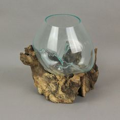 a glass vase sitting on top of a piece of driftwood with water in it