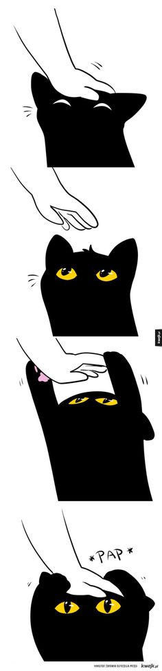 three black cats with yellow eyes are shown in the same image as one cat's head