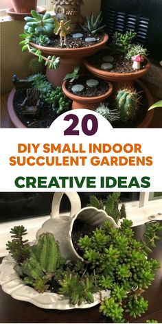 some plants are in pots on a table and the words 20 diy small indoor succulent gardens creative ideas