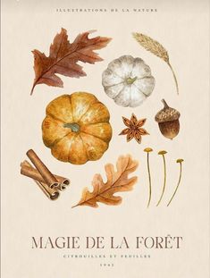 a book cover with different types of leaves and acorns