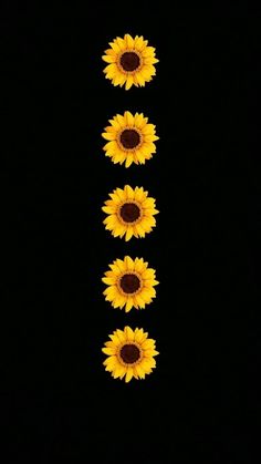 five sunflowers are arranged in the shape of a vertical line on a black background