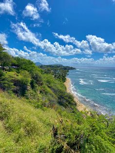 tropical beach scenery in oahu hawaii Adventure Summer, Summer Trees, Hawaii Oahu, Explore Travel, Beach View, Island Beach, Travel Adventure, Tropical Beach