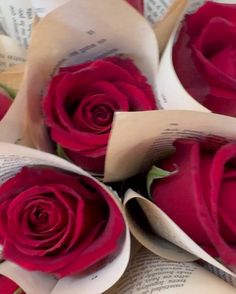 three red roses are sitting on top of an open book and folded in half to look like paper