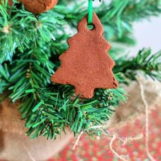 an ornament hanging from a christmas tree with pine cones and cinnamons in the background