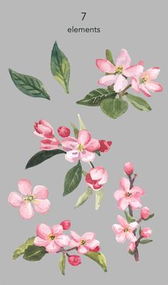 pink flowers and green leaves on a gray background with the words 7 elements written below