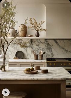 a kitchen with marble counter tops and wooden cabinets in the background, there is a vase filled with flowers on the island