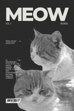 the front cover of meow magazine featuring two cats