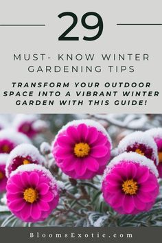 pink flowers with the text 29 must - know winter gardening tips transform your outdoor space into a vibrant winter garden with this guide