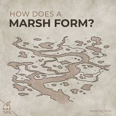 a map with the words how does a marsh form?