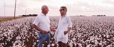 two people standing in a field of cotton