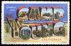 an old postcard with the word camp young written in large letters and cactuses