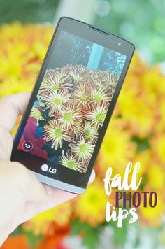 a person holding up a cell phone with flowers in the background and text overlay that reads fall photo tips