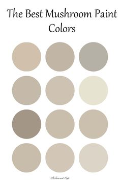 the best mushroom paint colors for your home