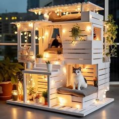 a cat is sitting on top of a doll house