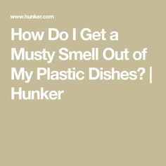 the words how do i get a musty smell out of my plastic dishes?