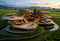 an aerial view of a house in the middle of rice fields