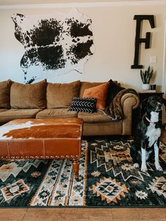 a dog sitting in front of a couch with pillows on the floor and a rug next to it