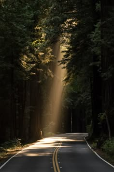 the sun shines through the trees on a road surrounded by tall, green trees