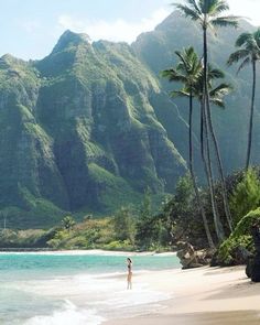 Foto Tips, Hawaii Travel, Beautiful Places To Visit, Travel Inspo, Travel Aesthetic, Oahu, Vacation Spots, Dream Vacations, Travel Dreams