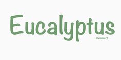 the word eucalypus is written in green and has an ornate font pattern