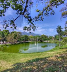 a lake surrounded by trees in the middle of a park