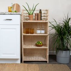 a wicker shelf next to a potted plant