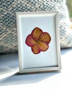 a flower in a white frame sitting on a table next to a gray cushion and pillow