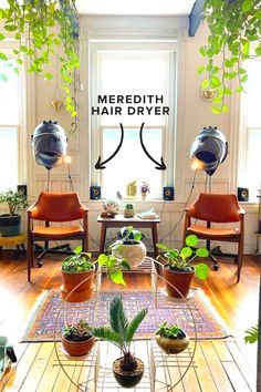 a living room filled with lots of plants on top of a wooden floor next to a window