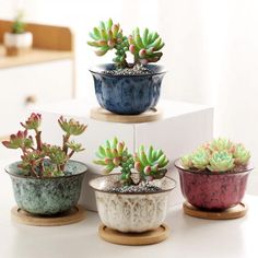 PRICES MAY VARY. Floral Design Pots: YYW plant pots set of four with different designs and bamboo trays. These flower pots are perfect for indoor & outdoor with a natural raw texture and smooth surface that adds fascinating charm to the home. These tiny plant pots are designed to grow petite plants or display artificial plants, air plants, succulents, herbs, cactus, etc. Drainage Holes & Trays: Each flower pots is designed with one drainage hole in the bottom and comes with removable bamboo tray Ceramic Succulent Pots, Small House Plants, Cactus Plant Pots, Pottery Plant Pot, Ceramic Succulent Planter, Ceramic Flower Pot, Planting Pot, Ceramic Succulent, Modern Marble