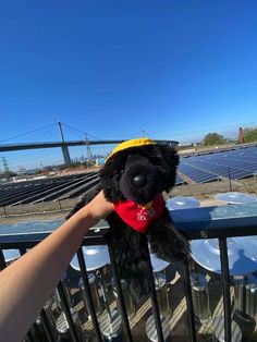 a person holding a stuffed animal on top of a metal railing near solar panels and a bridge