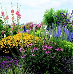 an assortment of colorful flowers in a garden