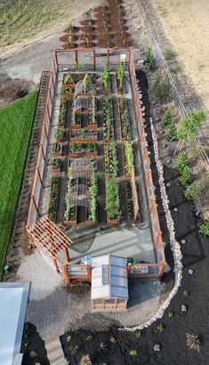 an aerial view of a garden with many plants growing in the ground and on top of each other