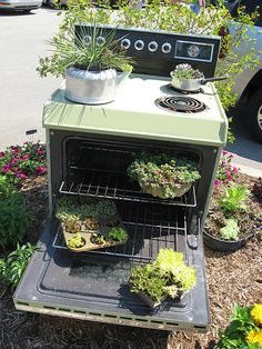 an oven with plants growing out of it