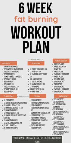 Toning Workouts For Women Full Body Gym, Hiit Workout Routine For Women, 6 Week Exercise Challenge, 10 Week Workout Plan At Home, 8 Week Hiit Workout Plan, 6 Week Toning Workout Plan, 6 Week Workout Challenge, 30 Lbs In 6 Weeks, Cardio And Body Weight Workout