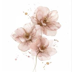 three pink flowers on a white background with watercolor splashes and gold flecks