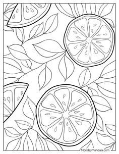 a fruit coloring page with oranges and leaves