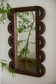 a mirror mounted to the side of a wall next to a green plant in a vase