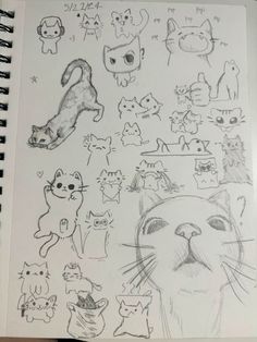 an open notebook with drawings of cats on it