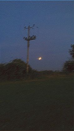 a full moon is seen in the distance over a grassy area with trees and telephone poles