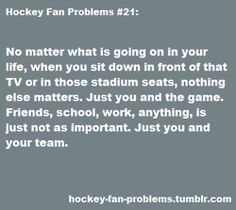 the hockey fan problems page on twitter