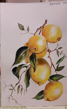 a painting of lemons on a branch with leaves