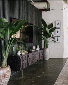 a living room with plants and pictures on the wall