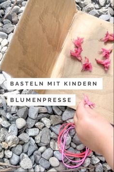 a child is playing with pink flowers on the rocks in front of a cardboard box