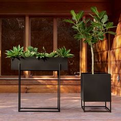 two black planters with plants in them sitting on a wooden floor next to windows