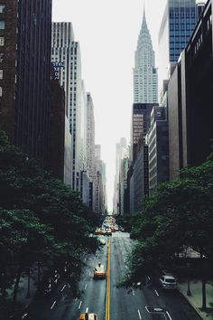 an empty city street with tall buildings in the back ground and trees on both sides