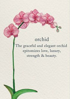 Orchid Meaning, Flower Dictionary, I Miss You Wallpaper, Flower Guide, Symbols And Meanings, Garden Quotes, Flower Therapy